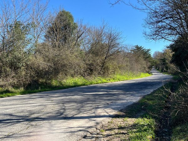 terreno in vendita a Tolfa