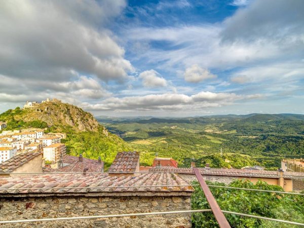 appartamento in vendita a Tolfa