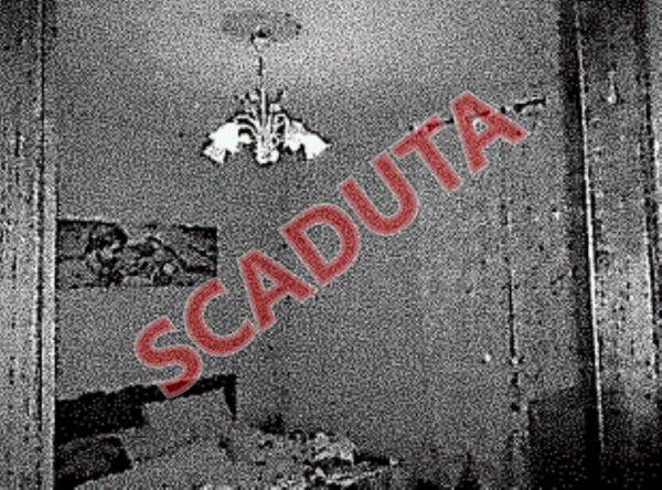 appartamento in vendita a Tolfa