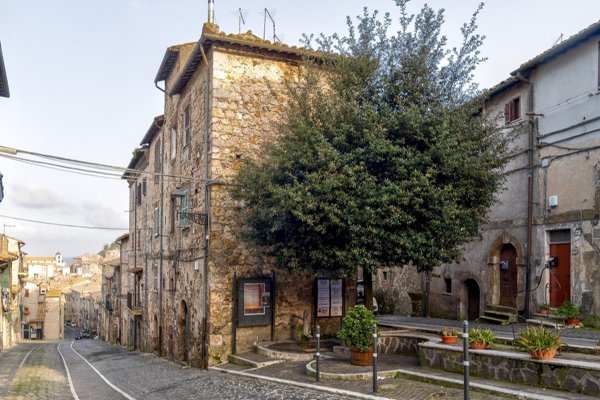 appartamento in vendita a Tolfa