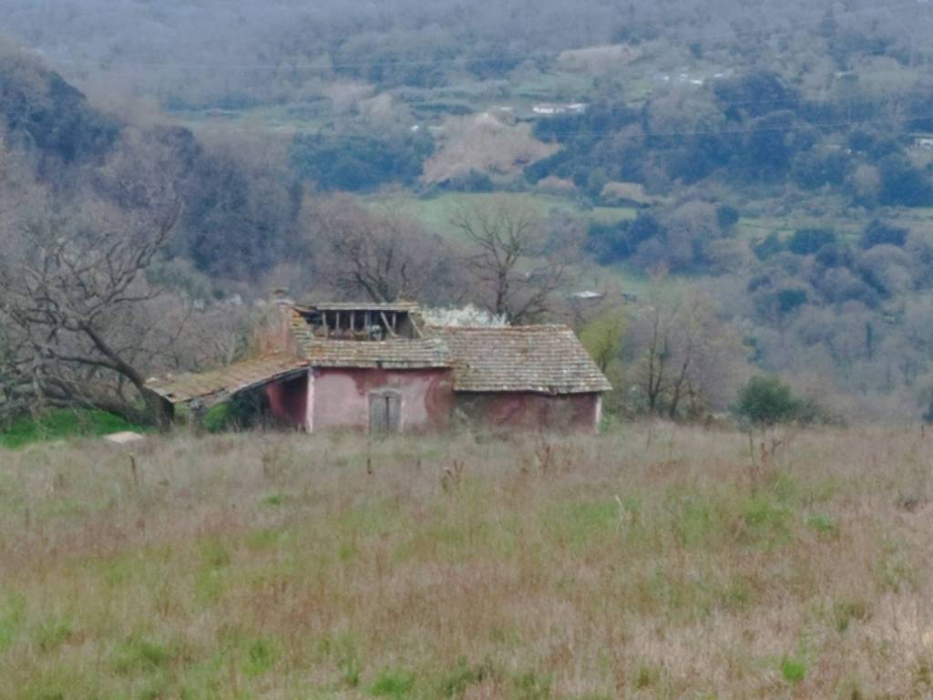 casa indipendente in vendita a Tolfa