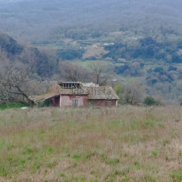 terreno in vendita a Tolfa
