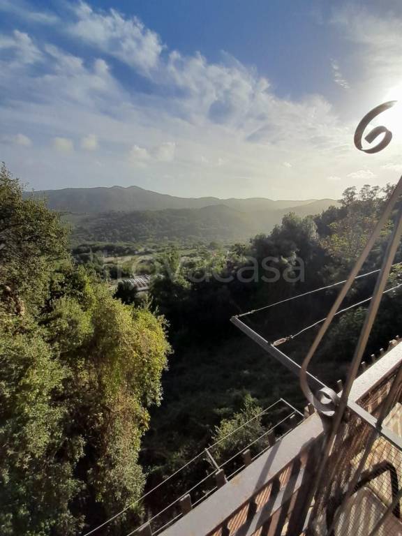 appartamento in vendita a Tolfa