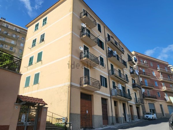 appartamento in vendita a Tolfa