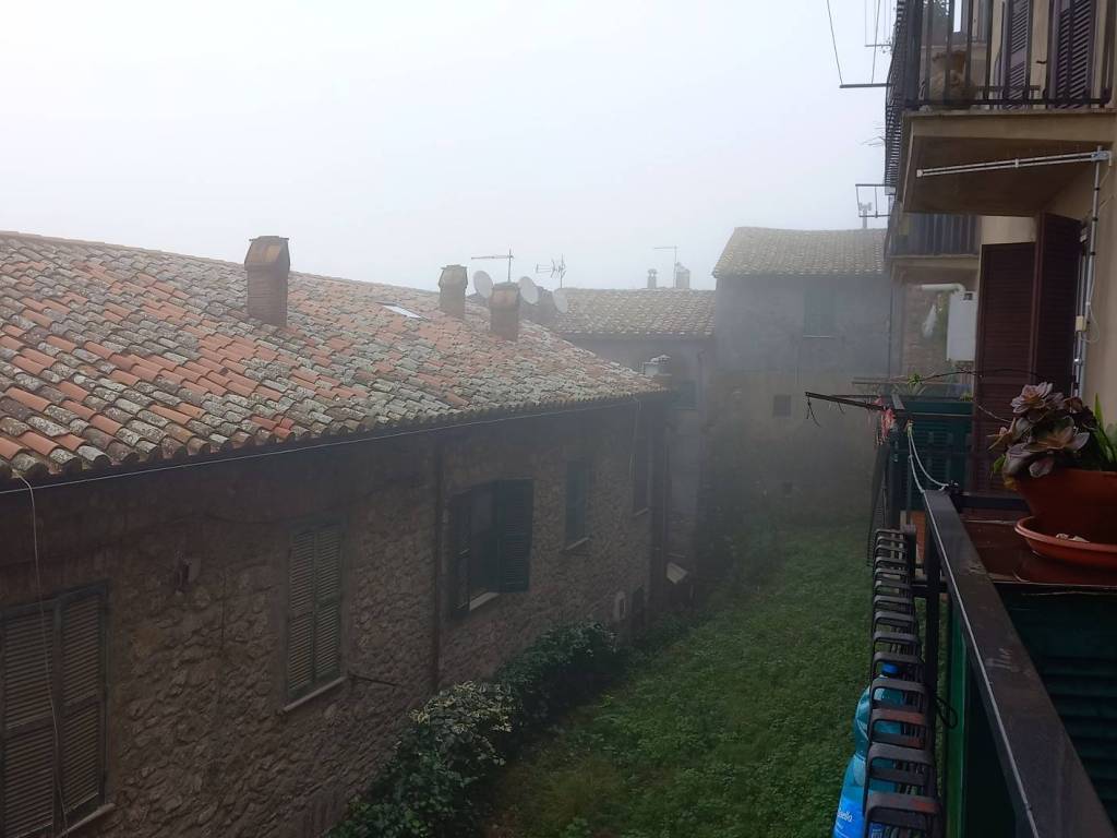appartamento in vendita a Tolfa