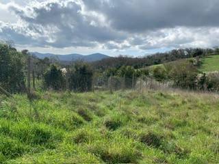 terreno agricolo in vendita a Tolfa