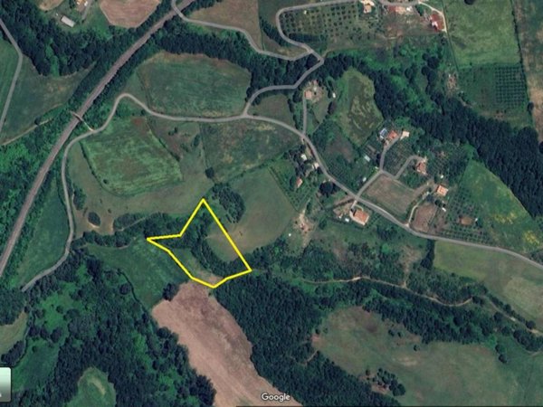 terreno agricolo in vendita a Torrita Tiberina