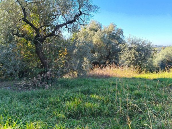 terreno agricolo in vendita a Torrita Tiberina