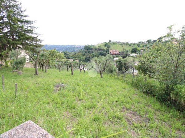 terreno agricolo in vendita a Torrita Tiberina