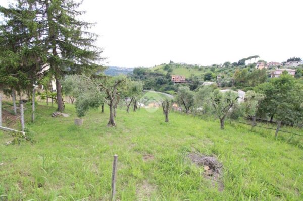 negozio in vendita a Torrita Tiberina