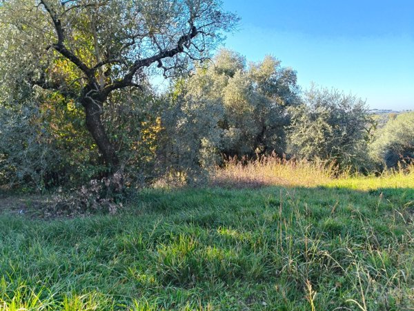 terreno edificabile in vendita a Torrita Tiberina
