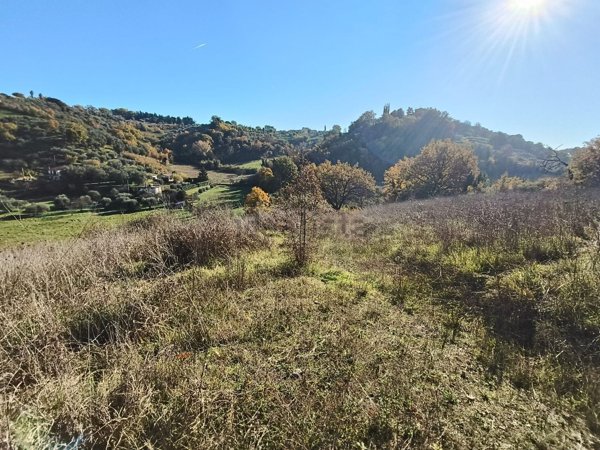 terreno agricolo in vendita a Torrita Tiberina