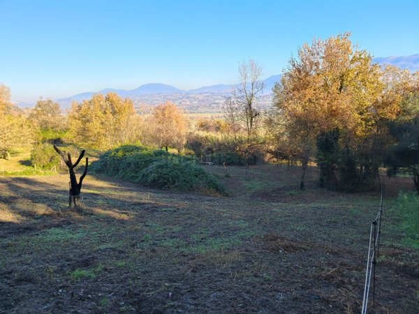 rudere in vendita a Torrita Tiberina