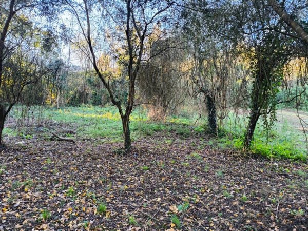 terreno in vendita a Torrita Tiberina