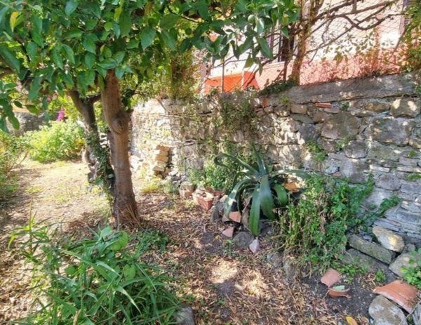 appartamento in vendita a Trevignano Romano