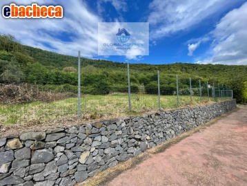 terreno agricolo in vendita a Trevignano Romano