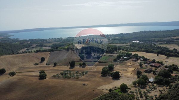 terreno agricolo in vendita a Trevignano Romano