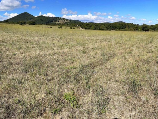 terreno agricolo in vendita a Trevignano Romano