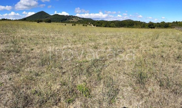 terreno agricolo in vendita a Trevignano Romano