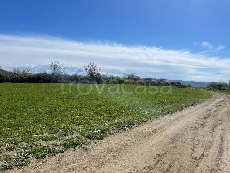 terreno agricolo in vendita a Trevignano Romano