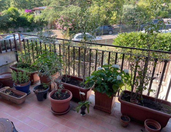 appartamento in vendita a Trevignano Romano