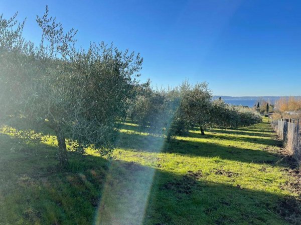 terreno agricolo in vendita a Trevignano Romano