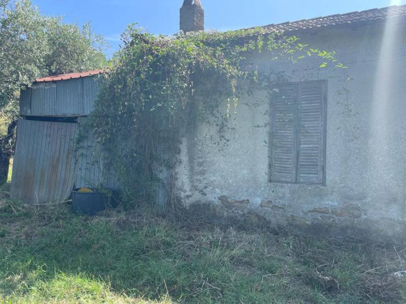 terreno agricolo in vendita a Trevignano Romano