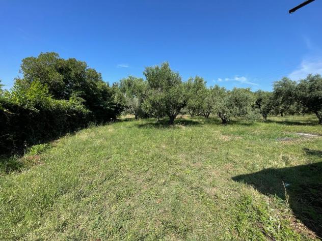 terreno agricolo in vendita a Trevignano Romano