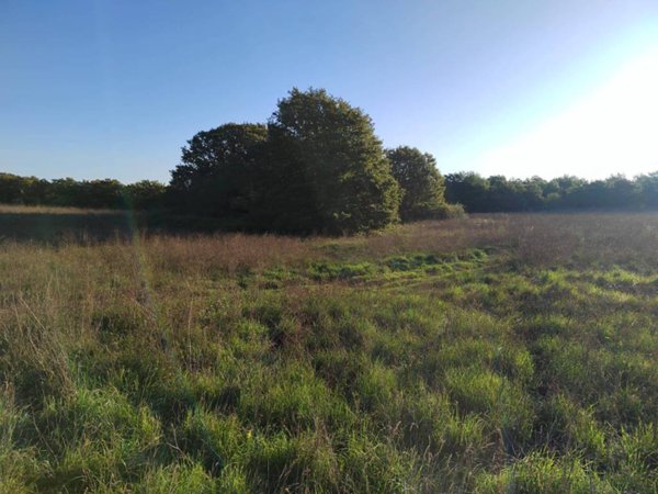 terreno agricolo in vendita a Trevignano Romano