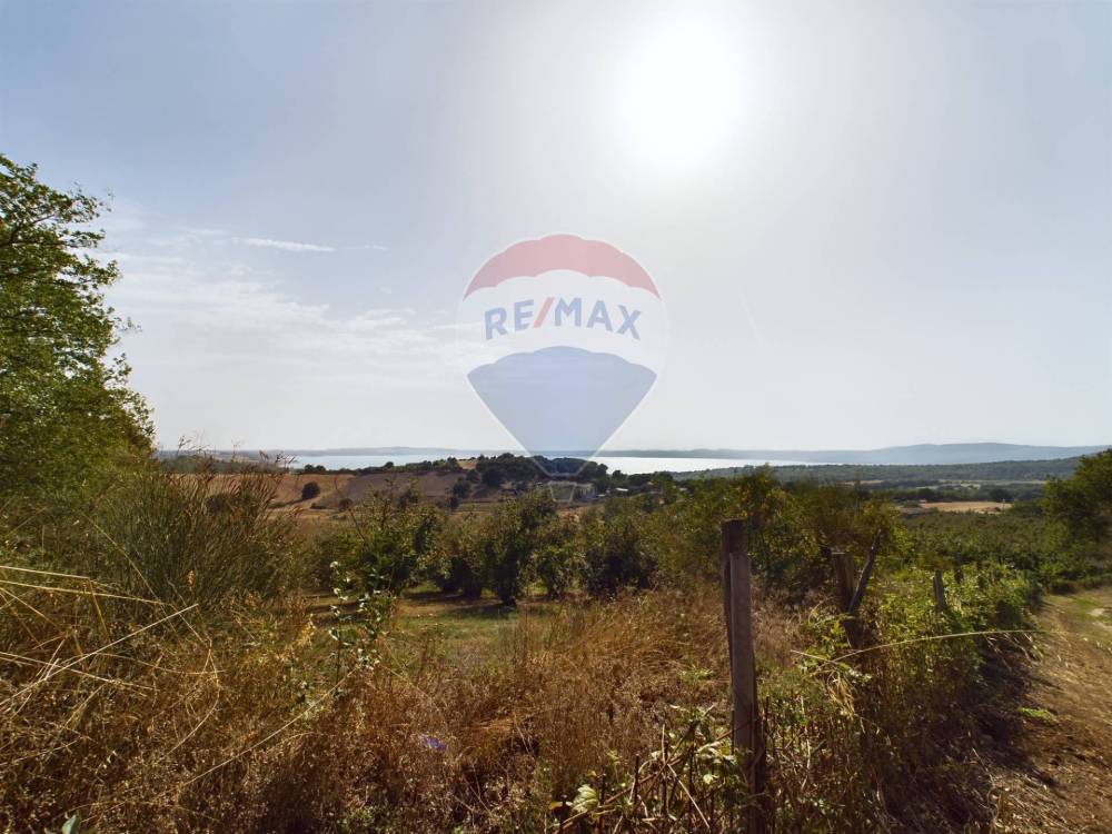 azienda agricola in vendita a Trevignano Romano