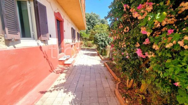 appartamento in vendita a Trevignano Romano