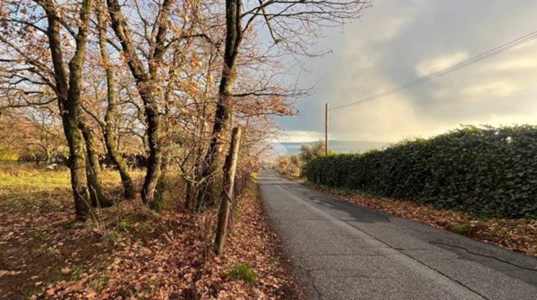 terreno agricolo in vendita a Trevignano Romano