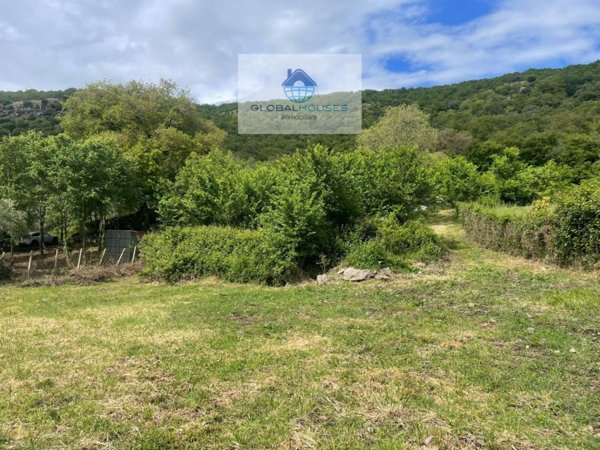 terreno agricolo in vendita a Trevignano Romano
