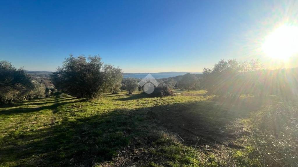 terreno agricolo in vendita a Trevignano Romano
