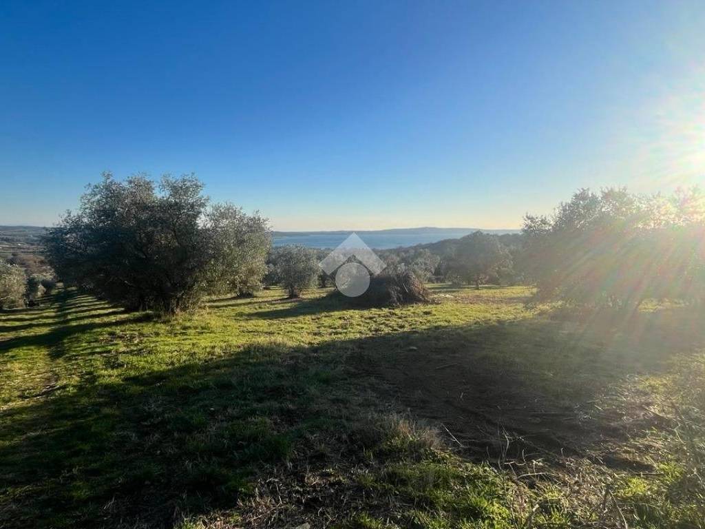 terreno agricolo in vendita a Trevignano Romano
