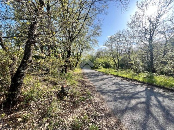 terreno agricolo in vendita a Trevignano Romano