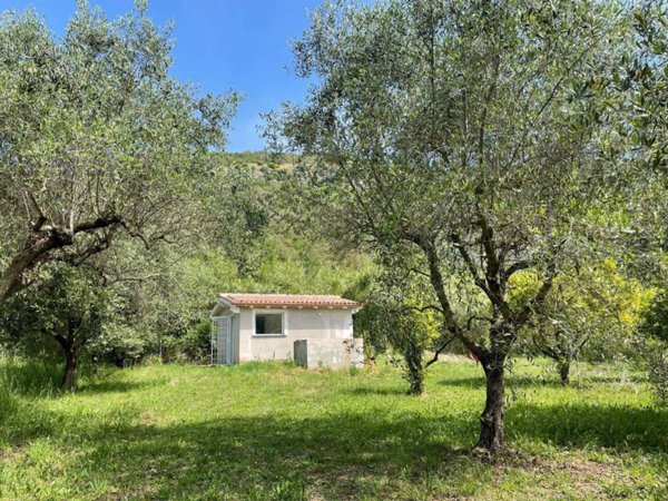 terreno agricolo in vendita a Trevignano Romano