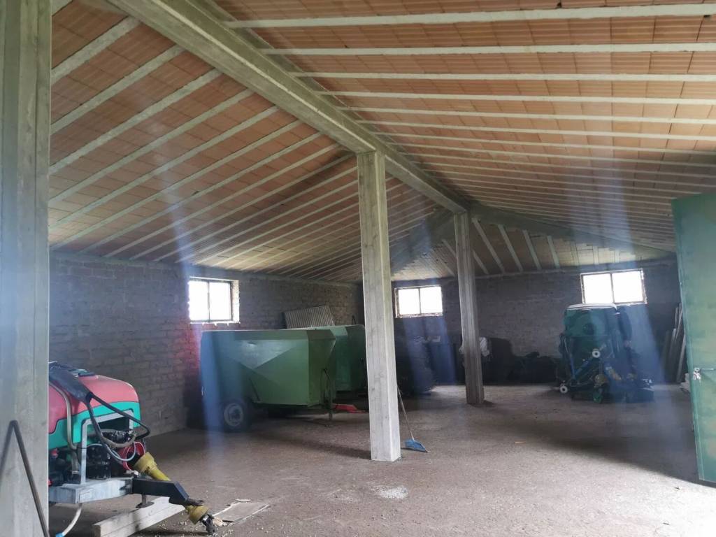 terreno agricolo in vendita a Trevignano Romano