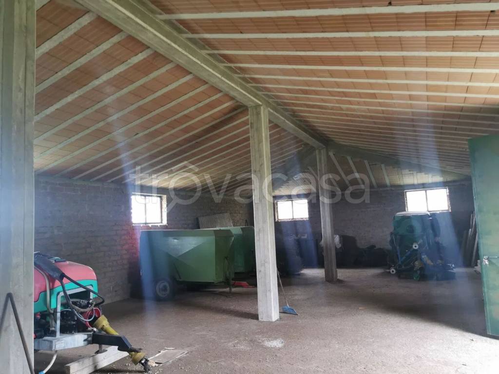 terreno agricolo in vendita a Trevignano Romano