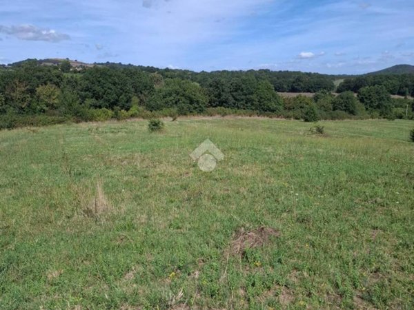 terreno agricolo in vendita a Trevignano Romano