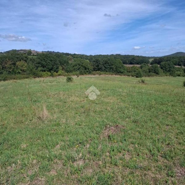 terreno agricolo in vendita a Trevignano Romano