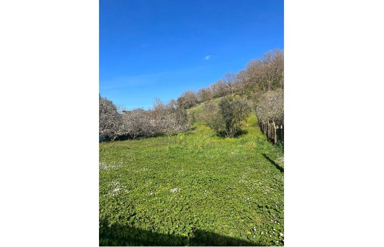 terreno agricolo in vendita a Trevignano Romano