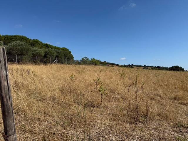 terreno agricolo in vendita a Trevignano Romano