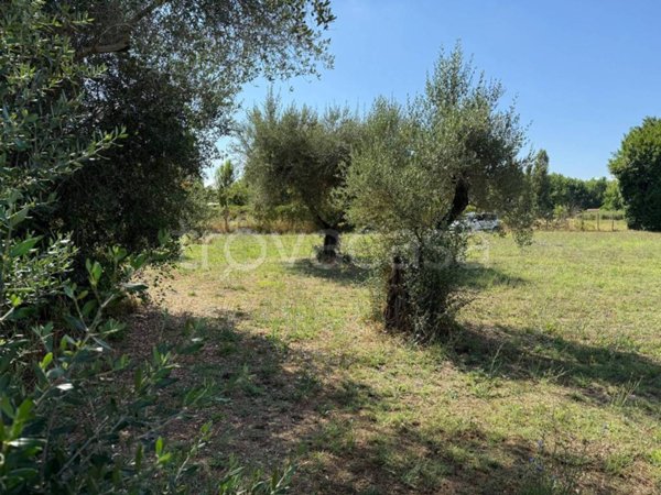 terreno agricolo in vendita a Trevignano Romano