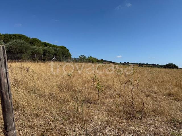 terreno agricolo in vendita a Trevignano Romano