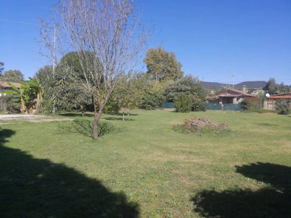 terreno agricolo in vendita a Trevignano Romano