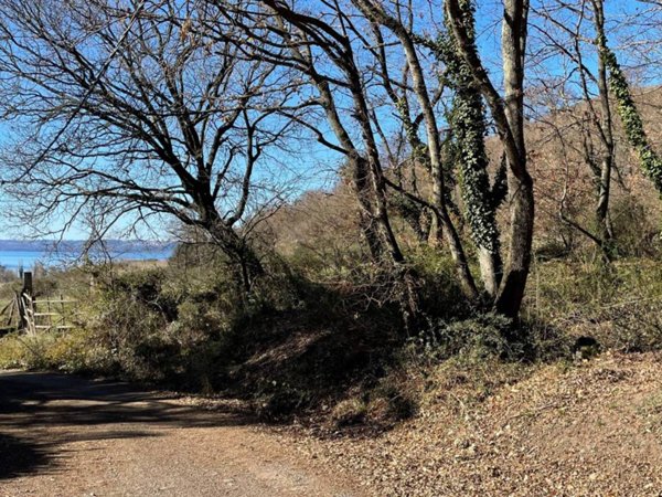 terreno agricolo in vendita a Trevignano Romano