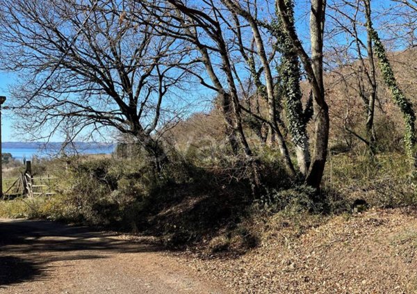terreno agricolo in vendita a Trevignano Romano