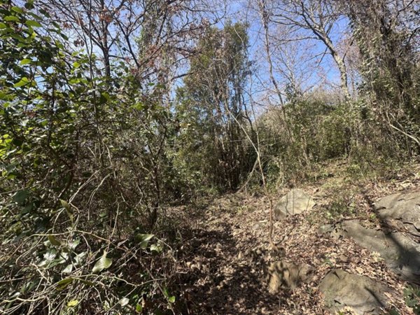 terreno agricolo in vendita a Trevignano Romano