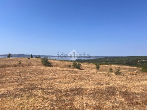 terreno agricolo in vendita a Trevignano Romano